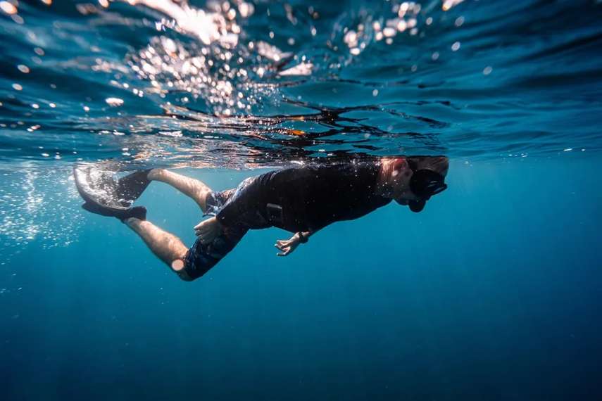 Snorkel or Dive at St. Abbs