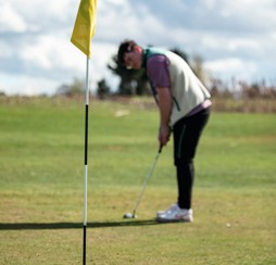 How do Haven's Scottish parks offer value for money?