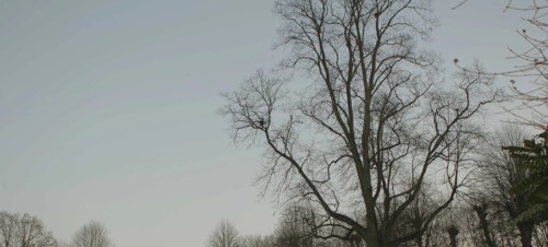 10. Highwoods Country Park 