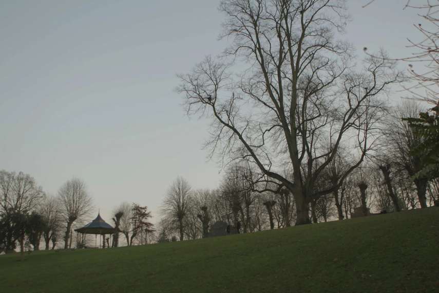 10. Highwoods Country Park 