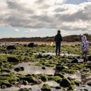 Rock pooling at the beach opposite Seton Sands