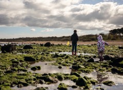 Rock pooling at the beach opposite Seton Sands