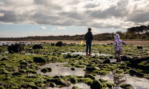 Rock pooling at the beach opposite Seton Sands