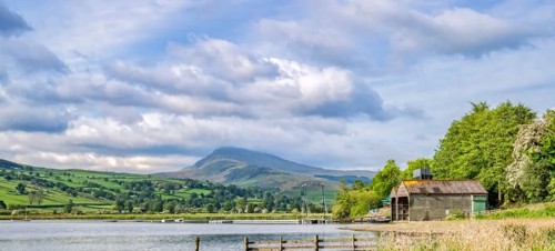 Bird watch at Bala Lake