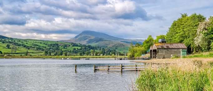 Bird watch at Bala Lake