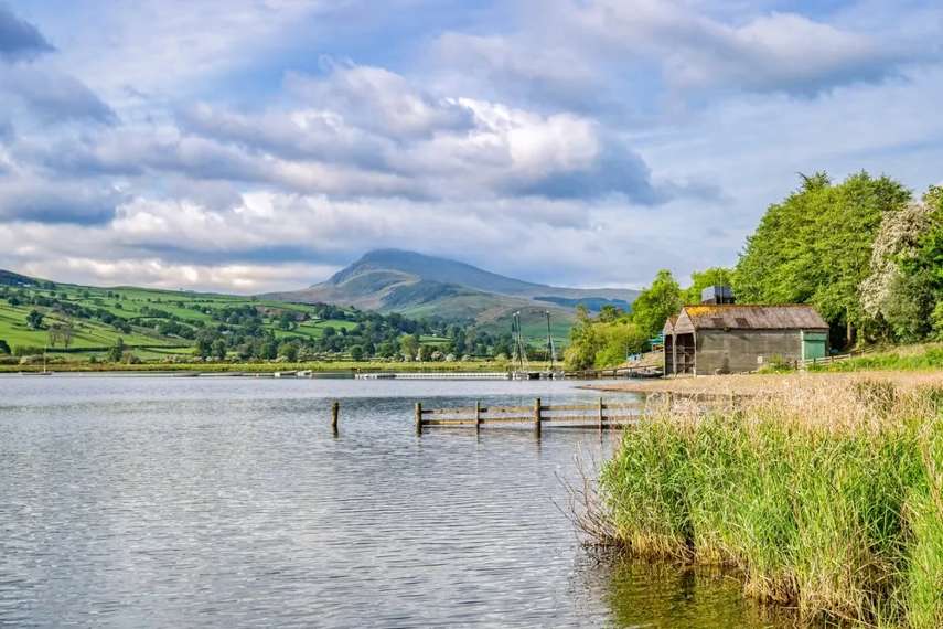 Bird watch at Bala Lake