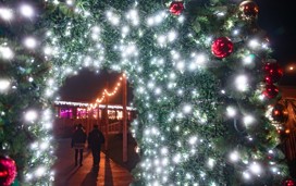 Twinkly lights and festive Christmas trees, all part of the on-park experience at Christmas.