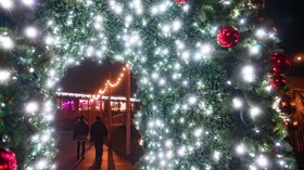 Twinkly lights and festive Christmas trees, all part of the on-park experience at Christmas.