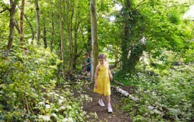 Woodland areas are nature's own playgrounds and the one at Kent Coast is great for exploring