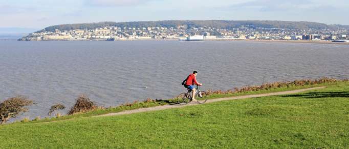 Doggy paddle at Brean Down