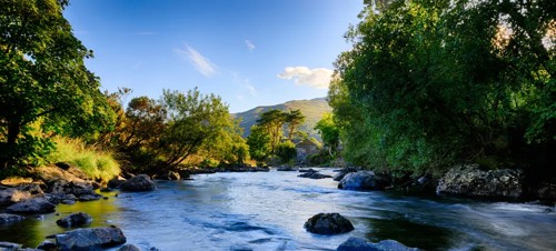 Glaslyn Wildlife