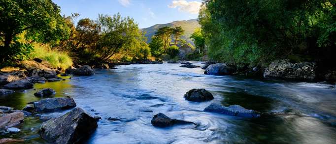 Glaslyn Wildlife