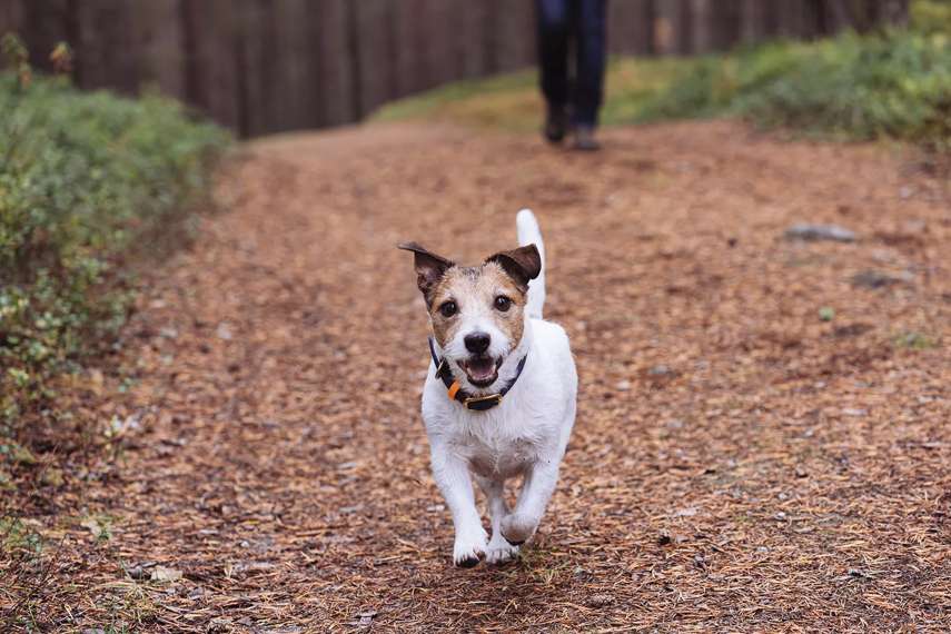 1. Stover Country Park, Newton Abbot
