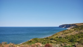 The clifftop heading towards Bempton Cliffs.