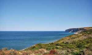 The clifftop heading towards Bempton Cliffs.