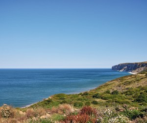 The clifftop heading towards Bempton Cliffs.