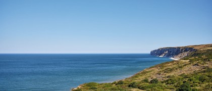 The clifftop heading towards Bempton Cliffs.