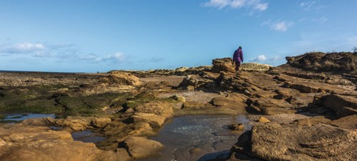 4. Aberlady Bay Nature Reserve walk