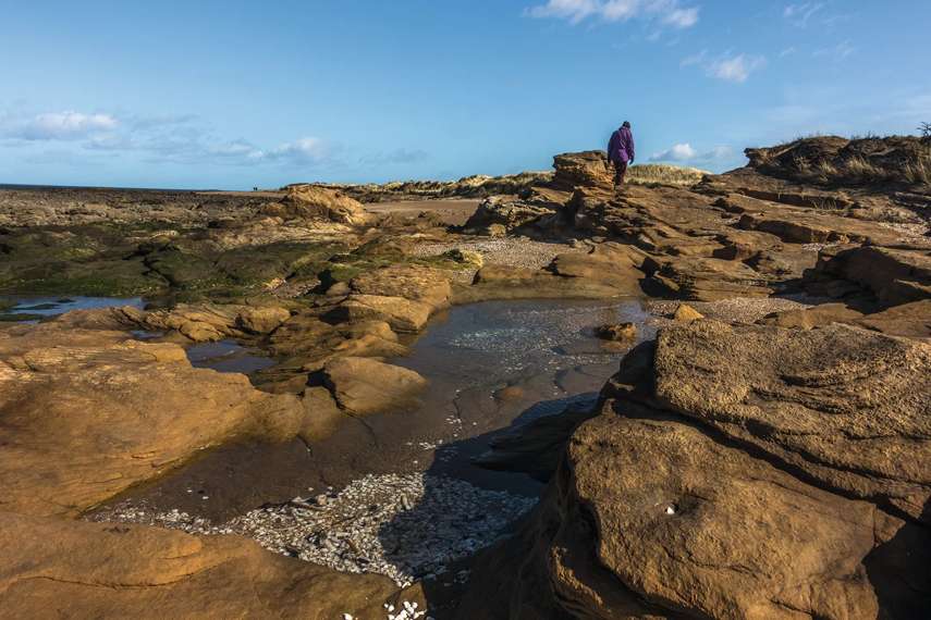 4. Aberlady Bay Nature Reserve walk