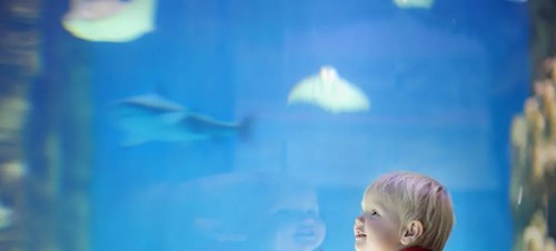 Best places to visit for babies and toddlers in the Lake District