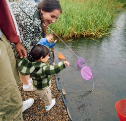 Pond dipping at Primrose Valley
