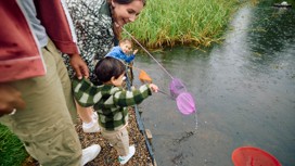 Pond dipping at Primrose Valley