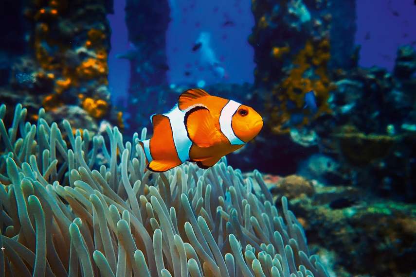 6. Skegness Aquarium