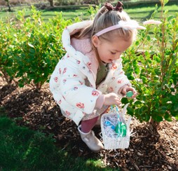 Easter entertainment