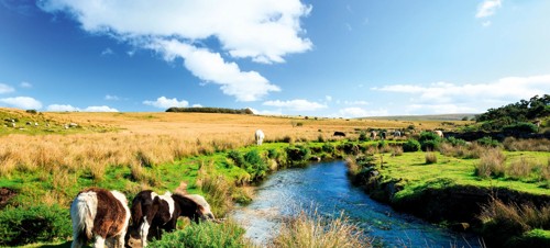 7. Dartmoor Tor walk 