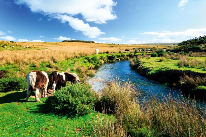 7. Dartmoor Tor walk 