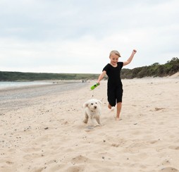 The beach near Kiln Park