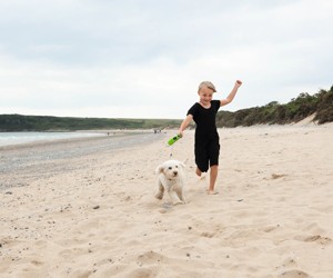 The beach near Kiln Park
