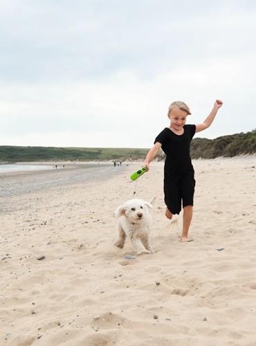 The beach near Kiln Park