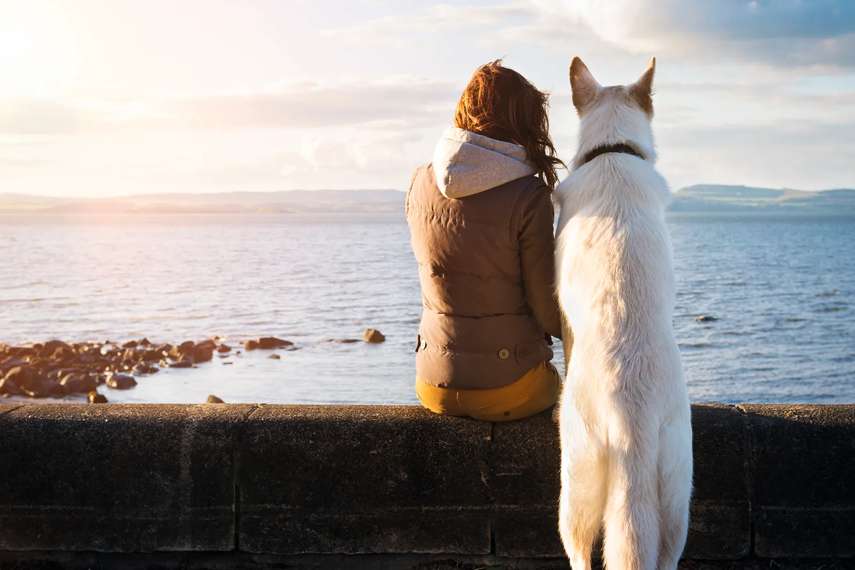 14. Visit dog-friendly attractions 