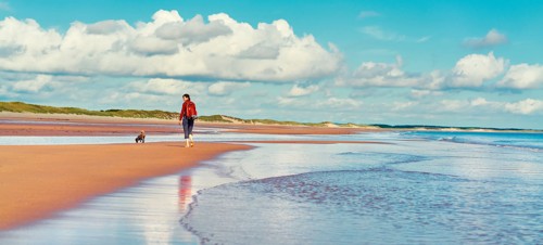 Walking along a Northumberland beach