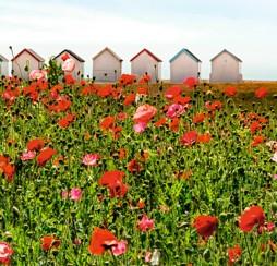 Goring-by-Sea Beach, Worthing, Sussex