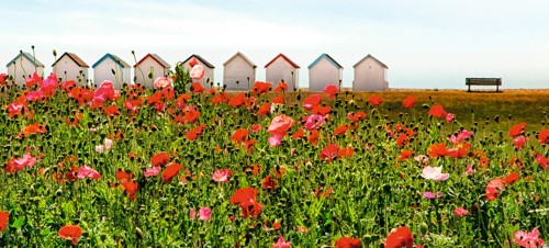 Goring-by-Sea Beach, Worthing 