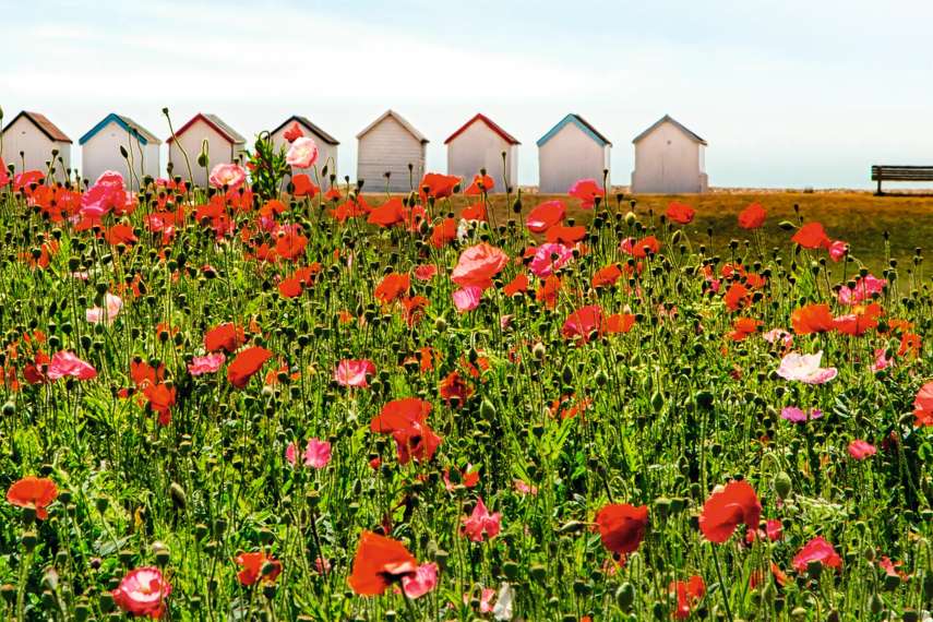 Goring-by-Sea Beach, Worthing 