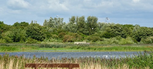 2. Marton Mere, Blackpool 