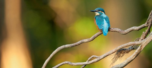 4. Enjoy a walk in the beautiful nature surrounding Sittingbourne