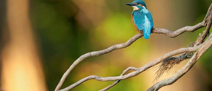 4. Enjoy a walk in the beautiful nature surrounding Sittingbourne