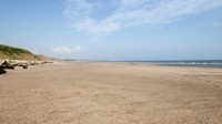 Sandy Beach at Reighton Sands