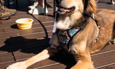 Drinks on the Huffkin of Hoo terrace overlooking the crazy golf