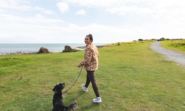 Dog walks on the beach or the coastal path