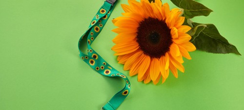 An image of a Sunflower lanyard next to a sunflower