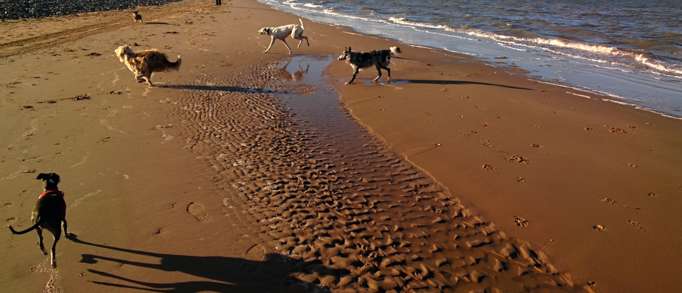 Roanhead Beach, Barrow-in-Furness