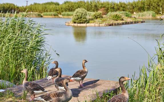 Image for North East