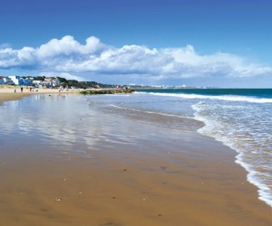 Close to Sandbanks beach at Rockley Park