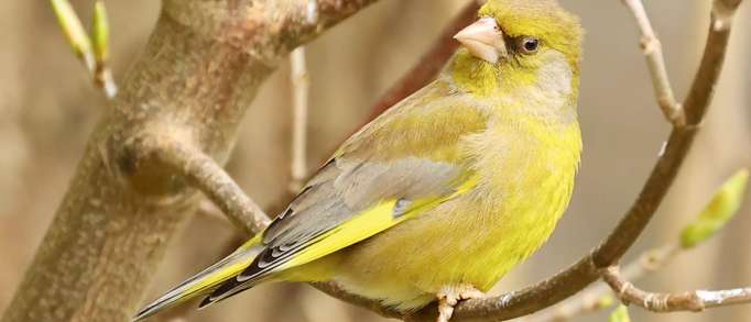 6. Warnham Local Nature Reserve