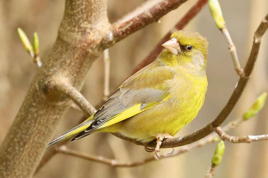 6. Warnham Local Nature Reserve